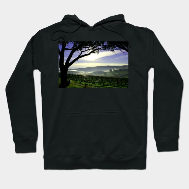 South Australia Barossa Landscape Hoodie by jwwallace